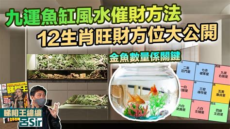 天德合神煞 金魚風水數量